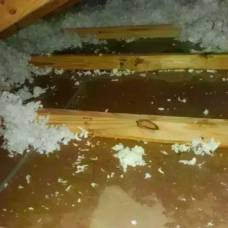 Attic Water Damage in Watonga, OK